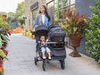 Joie Baby Rosemary LX And Mint Latch - Bambi Baby