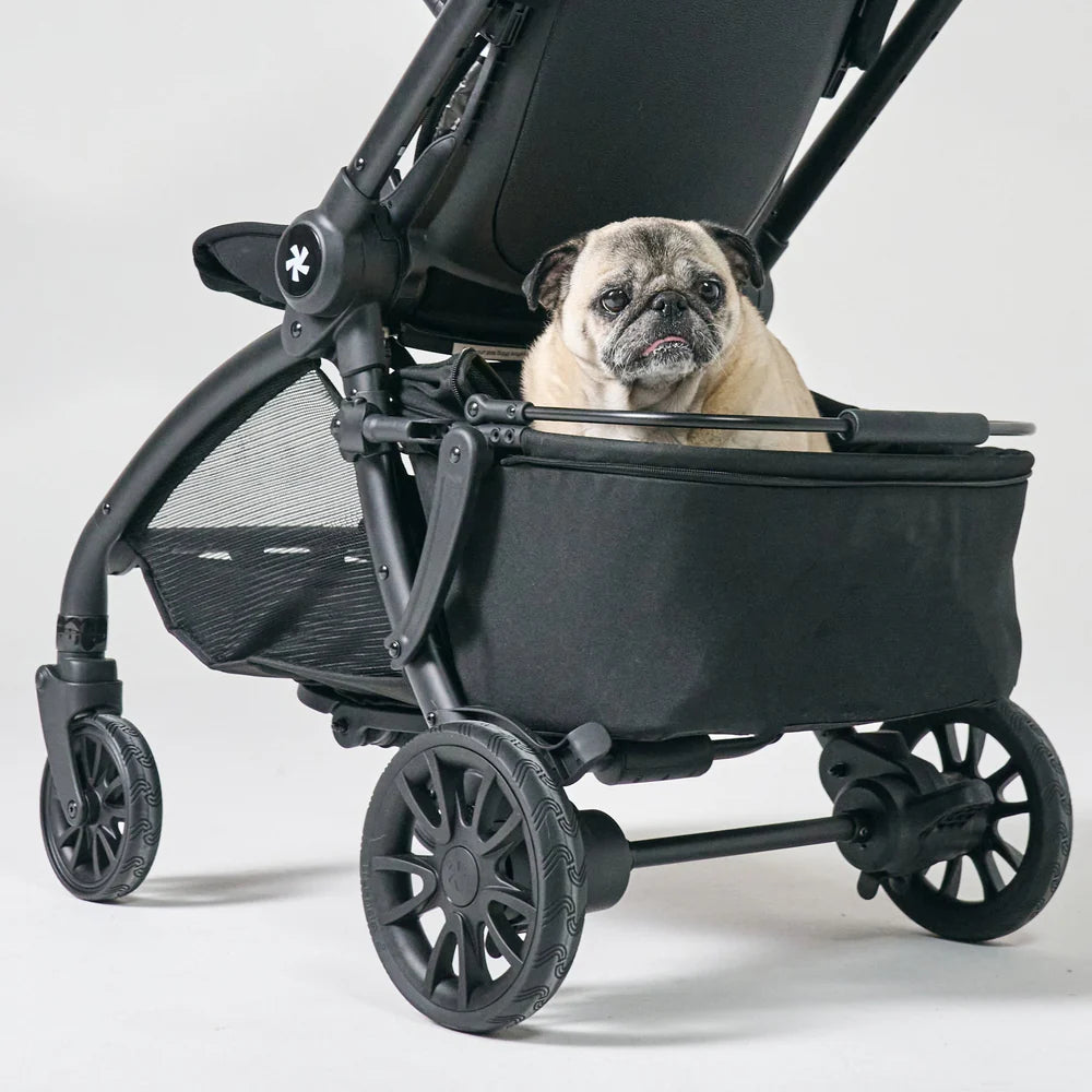 DFY Pet Basket - Black- Strolleria
