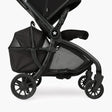 DFY Pet Basket - Black - Bambi Baby