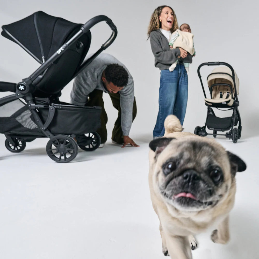DFY Pet Basket - Black- Strolleria