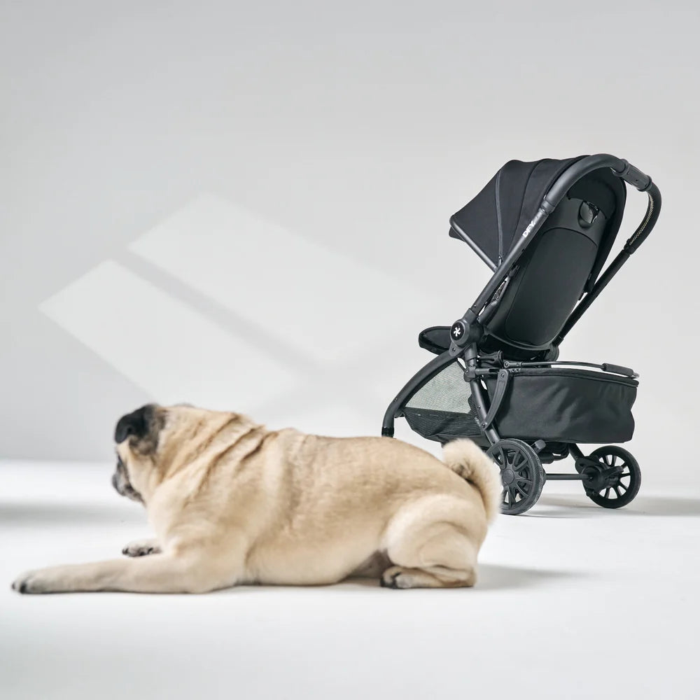 DFY Pet Basket - Black- Strolleria