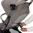 Maxi Cosi Oxford Cabin Lightweight Travel Stroller - Bambi Baby