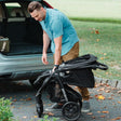 Chicco Bravo LE ClearTex Quick-Fold Stroller - Pewter - Bambi Baby