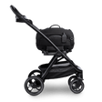 Tavo Dupree I + Roscoe + Dupree Adapter - Onyx - Bambi Baby