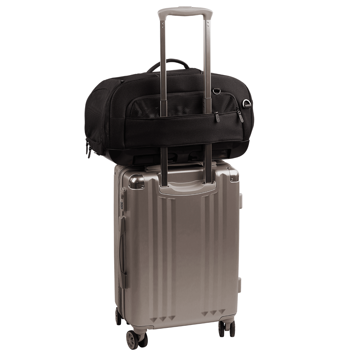 Tavo Dupree I + Roscoe + Dupree Adapter - Onyx- Strolleria