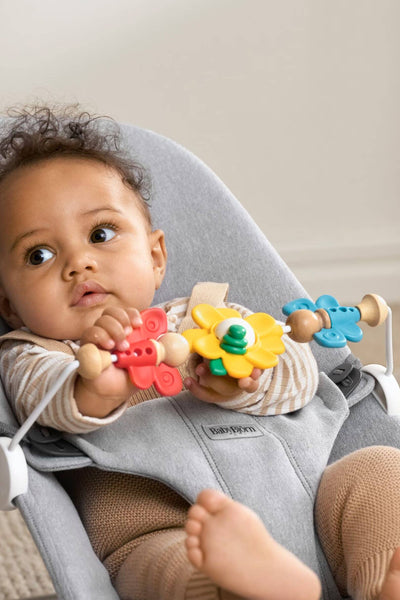 BabyBjörn Toy for Bouncer – Flying friends