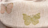 Flutter