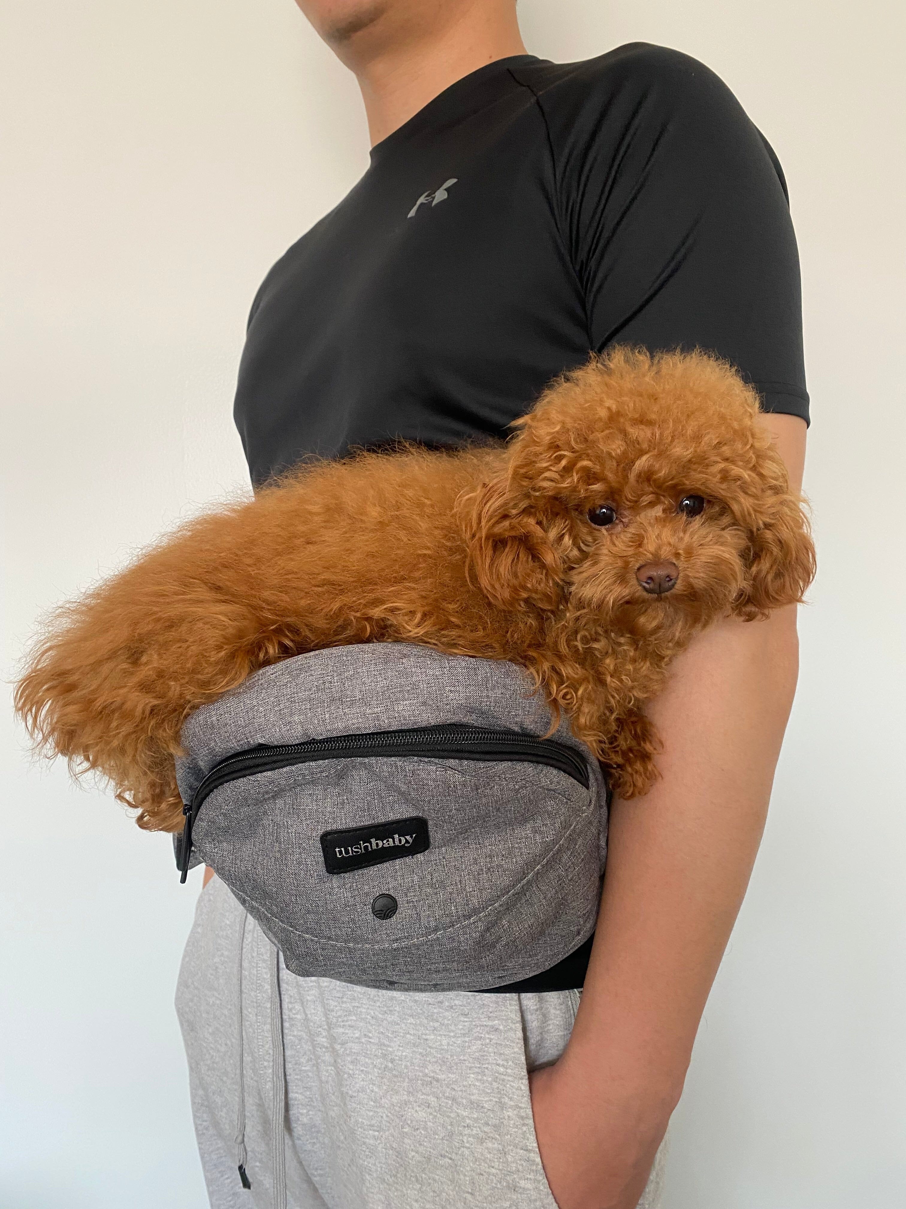 Tushbaby Hipseat Carrier- Strolleria