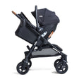 Joie Baby Caraway Whirl and Mint Latch - Bambi Baby