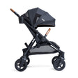 Joie Baby Caraway Whirl and Mint Latch - Bambi Baby