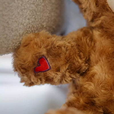 Hubble Connected Hubble the Bear: Smart Teddy with Two-Way Voice Chat