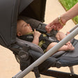 Britax CozyFit Inserts for Brook, Brook+ and Grove Strollers - Onyx - Bambi Baby