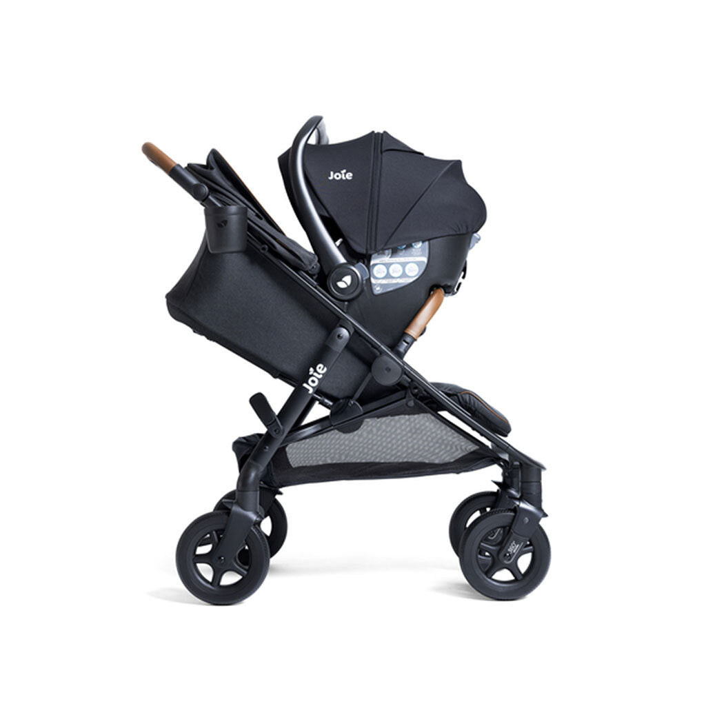 Joie Baby caraway™ whirl 2-in-1 Stroller- Strolleria