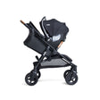 Joie Baby caraway™ whirl 2-in-1 Stroller - Bambi Baby