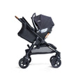 Joie Baby caraway™ whirl 2-in-1 Stroller - Bambi Baby