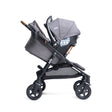 Joie Baby caraway™ whirl 2-in-1 Stroller - Bambi Baby