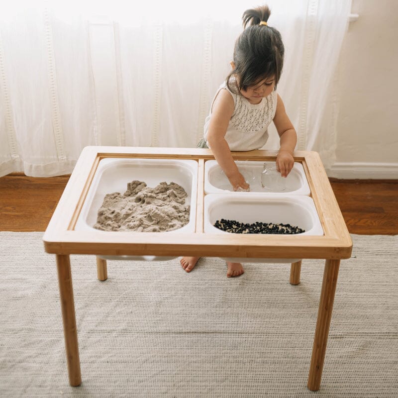 Wonder and Wise Land, Sand & Water Table