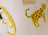 Leopards