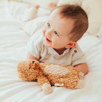 Wonder and Wise Bear Love