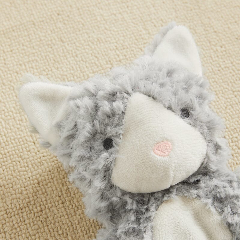 Wonder and Wise Kitty Love