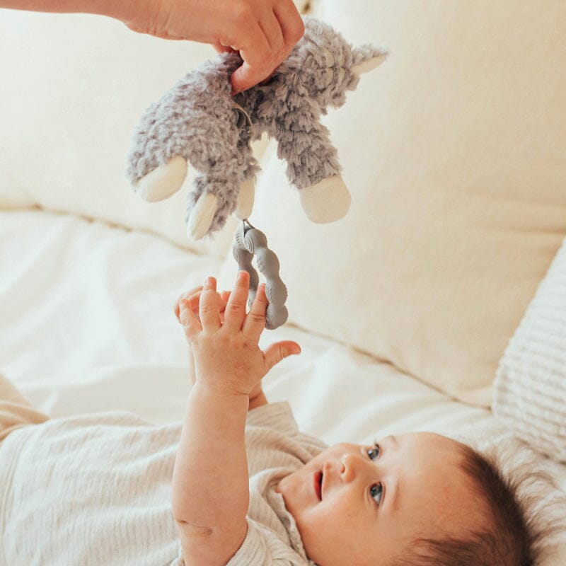 Wonder and Wise Kitty Love