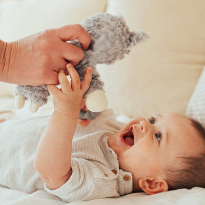 Wonder and Wise Kitty Love