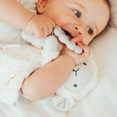 Wonder and Wise Lamb Love