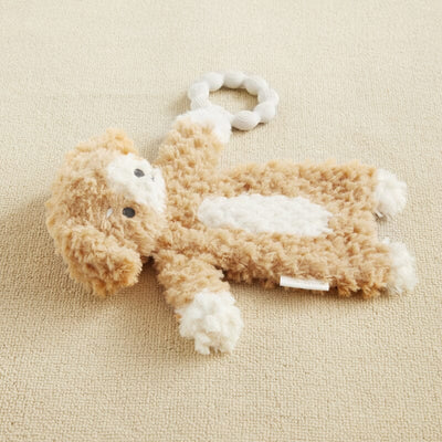 Wonder and Wise Puppy Love