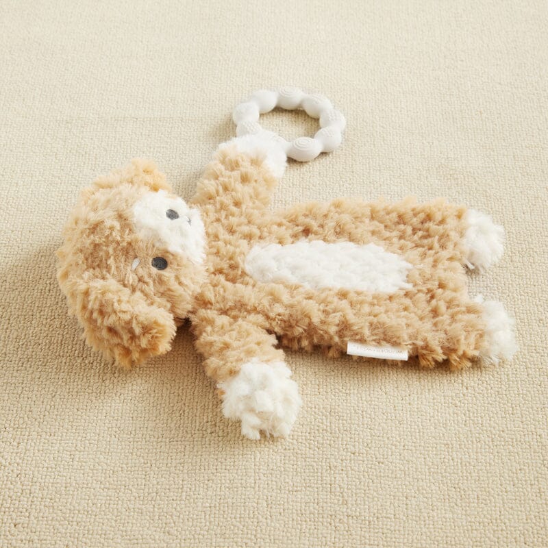 Wonder and Wise Puppy Love