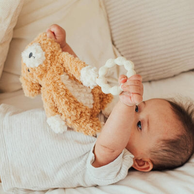 Wonder and Wise Puppy Love