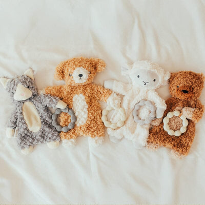 Wonder and Wise Lamb Love