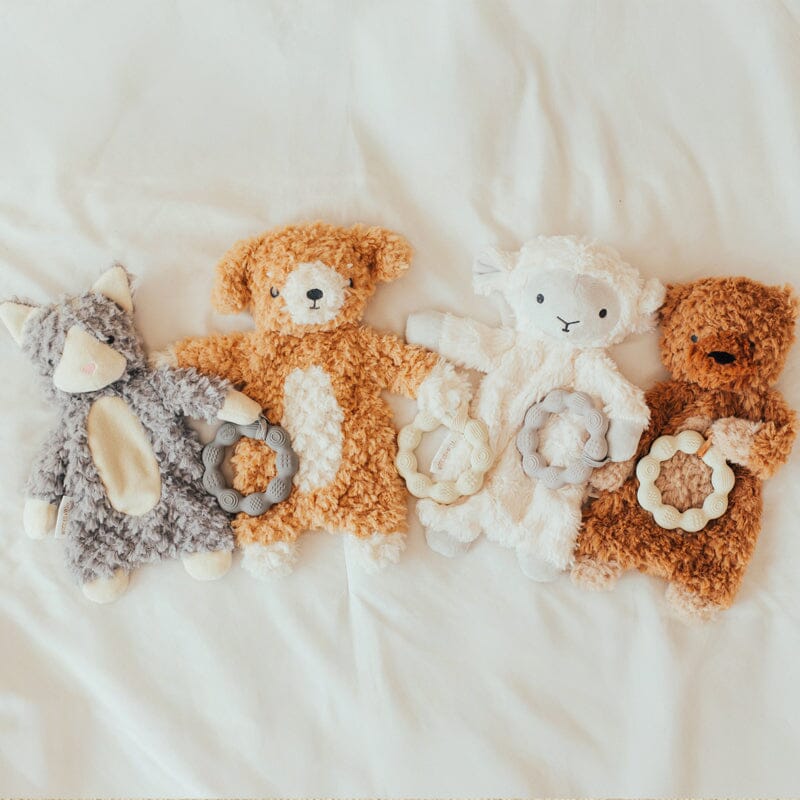 Wonder and Wise Bear Love