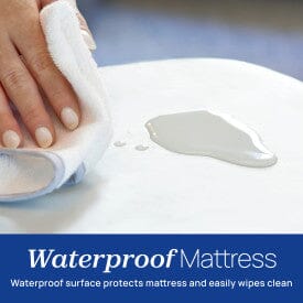 Chicco LullaGo Anywhere Portable Bassinet - Lyric