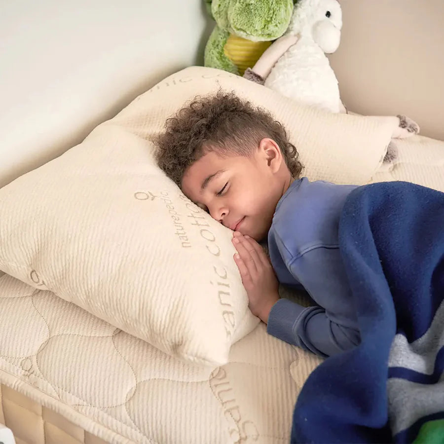 Naturepedic Standard Low-Fill PLA Pillow with Cotton Fabric in Natural- Strolleria