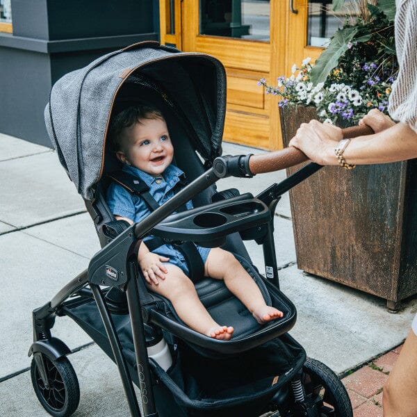 Chicco Corso Primo Modular Stroller - Summit- Strolleria