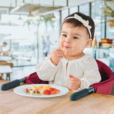 Chicco Caddy Hook-On Chair