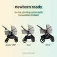 Joie Baby Carry Cot - Bambi Baby