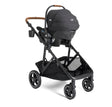 Joie Chive Stroller - Bambi Baby