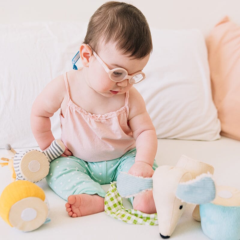 Wonder and Wise Pull Apart Pup