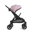 Joie Baby caraway™ whirl 2-in-1 Stroller - Bambi Baby