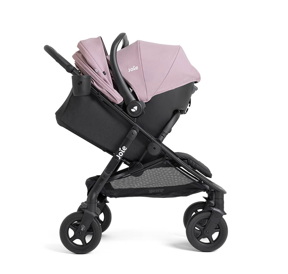 Joie Baby caraway™ whirl 2-in-1 Stroller- Strolleria