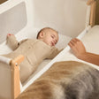 Snuz SnuzPod5 Bedside Bassinet - Bambi Baby
