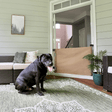 Crafted Gates Co. Oil Waxed Canvas Pet Safety Gate - Bambi Baby