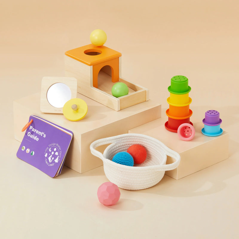 Tiny Land® Montessori Toys Set (6-9 month)