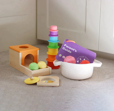 Tiny Land® Montessori Toys Set (6-9 month)