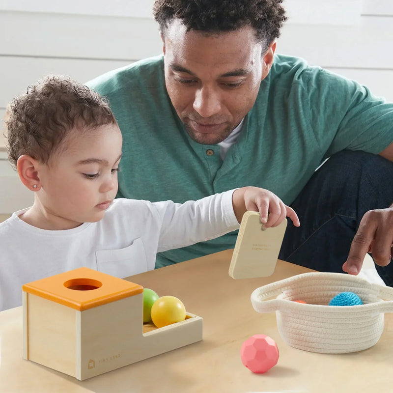 Tiny Land® Montessori Toys Set (6-9 month)