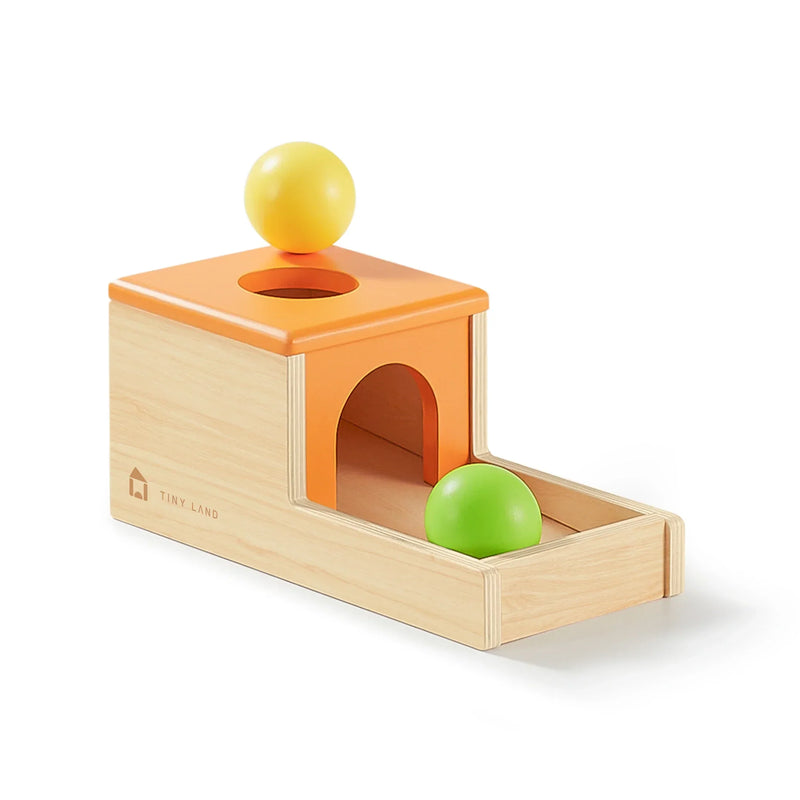 Tiny Land® Montessori Toys Set (6-9 month)