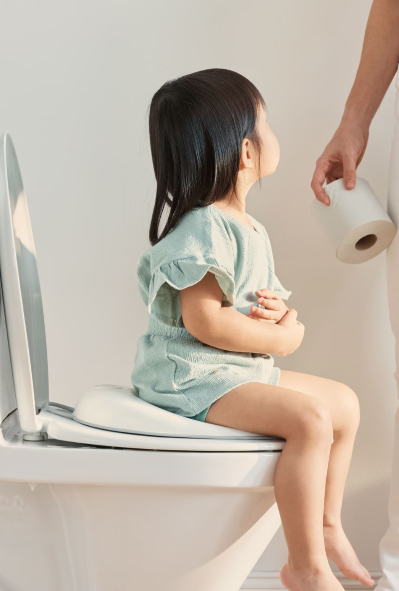 BabyBjörn Toilet Training Seat- Strolleria