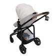 Maxi Cosi Tayla Max Stroller - Bambi Baby