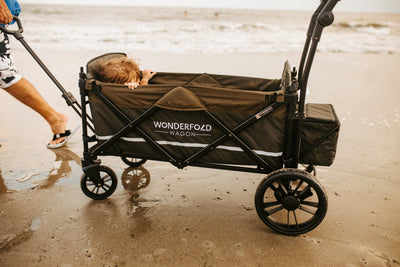 WonderFold X2M Push + Pull Double Stroller Wagon